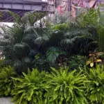 Dense tropical plantings of palms and ferns in an airy hall