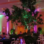 Ficus trees uplit in pink and green in a hotel ballroom