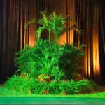 Lush green plants lit in front of a draped stage backdrop