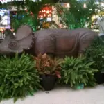 Triceratops sculpture surrounded by ferns and tropical plants