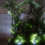 Uplit trees and plants forming a green garden wall in an event hall