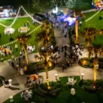 Aerial view of an evening lawn event with uplit palms and string lights